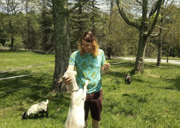 Playtime With Goats